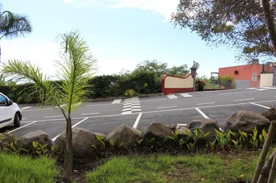 a parking lot with a palm tree and rocks at Village Cabo Girao in Câmara de Lobos