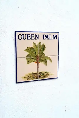 a sign with a palm tree on a wall at Queen Palm in Luz