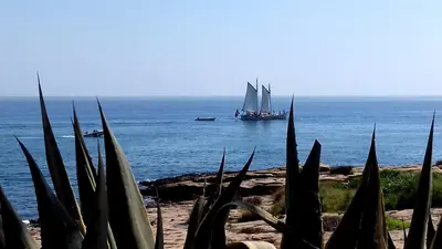 a boat in the ocean with a ship in the water at Queen Palm in Luz