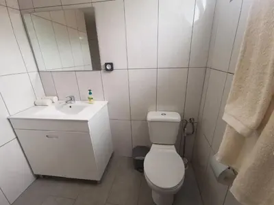 a bathroom with a toilet and a sink and a mirror at Casa do Curral Velho in Santana