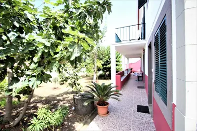 a courtyard of a house with a plant at Casa do Seixal in Seixal