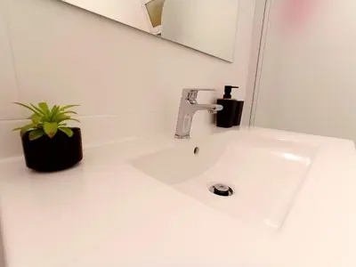a bathroom sink with a faucet and a plant at Panoramic View Apartment in Funchal