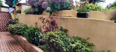 a garden with flowers and plants on a wall at CASA RIBEIRINHO No Coração da Natureza in Ponta do Pargo