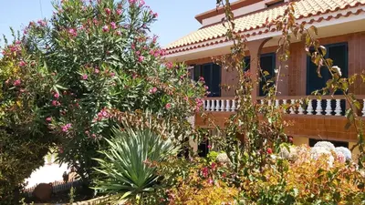 a house with trees and flowers in front of it at CASA RIBEIRINHO No Coração da Natureza in Ponta do Pargo