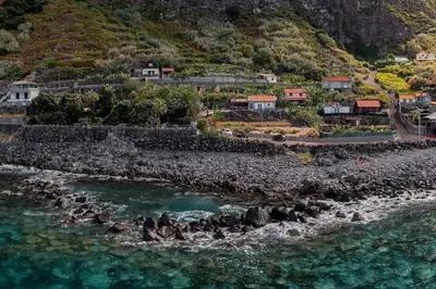 a group of penguins in the water on a beach at Casa da Rocha de Baixo by An Island Apart in Santana