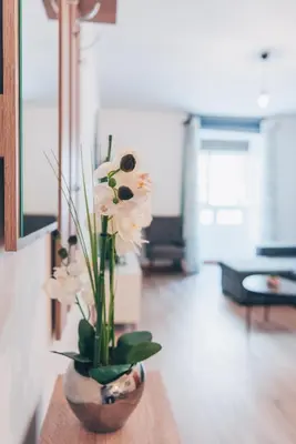 a vase with flowers on a table in a living room at Atlantic Studios #01 in Funchal