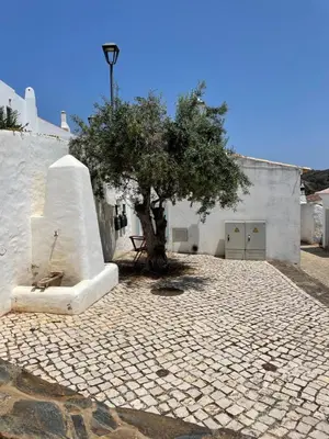 a tree in the middle of a courtyard with a building at New! Casa do Mar - Pedralva - Sagres- Surf & Nature in Vila do Bispo