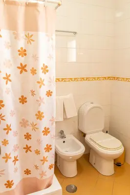 a bathroom with a toilet and a shower curtain at Apartamento Pedras Pretas in Porto Santo