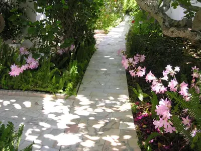 a stone path in a garden with pink flowers at BUGANVÍLEA - Vivenda johanna in Lagos