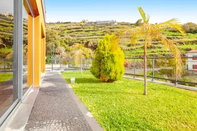 a palm tree in the grass next to a building at Villa Serramar in Estreito da Calheta