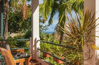 a balcony with a table and a palm tree at Casa dos Terços by An Island Apart in São Vicente