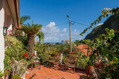 a patio with chairs and a palm tree and flowers at Casa dos Terços by An Island Apart in São Vicente