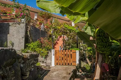 a wooden gate in front of a house with a bunch of bananas at Casa dos Terços by An Island Apart in São Vicente