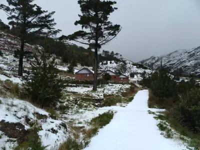 a snow covered road with trees and houses at Mountain Eco Shelter 1 in Funchal