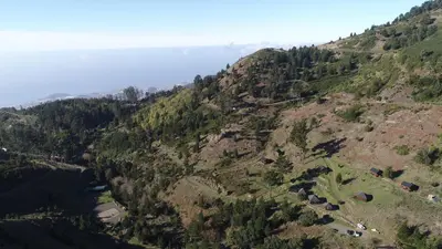 an overhead view of a mountain with trees at Mountain Eco Shelter 1 in Funchal
