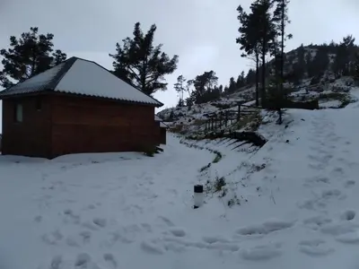 a building in a snow covered field with trees at Mountain Eco Shelter 2 in Funchal