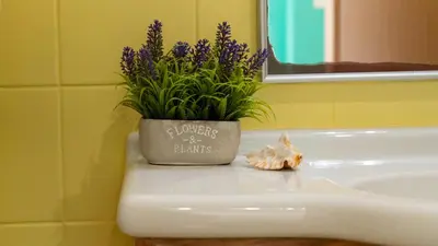 a potted plant sitting on top of a bathroom sink at The Seaview Studio by LovelyStay in Caniço