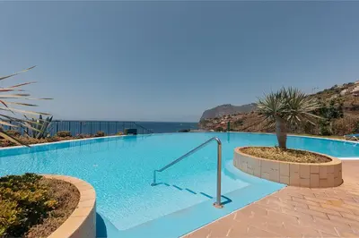 a large swimming pool with a palm tree next to the ocean at Infinity pool & Amazing Sunset Ocean View in Funchal