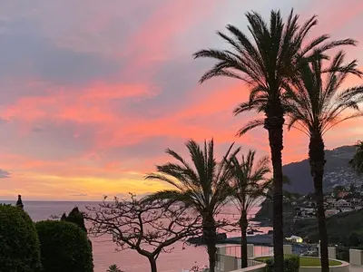 a group of palm trees in front of a sunset at Infinity pool & Amazing Sunset Ocean View in Funchal
