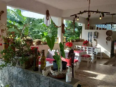 a room with a table with potted plants on it at Tabua Village Madeira Suite VIP in Ribeira Brava