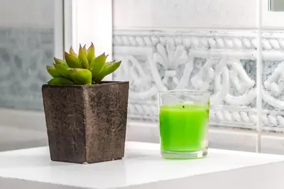 a glass of green juice next to a potted plant at LULINA Two Bedroom by ALMA Holiday Rentals in Funchal