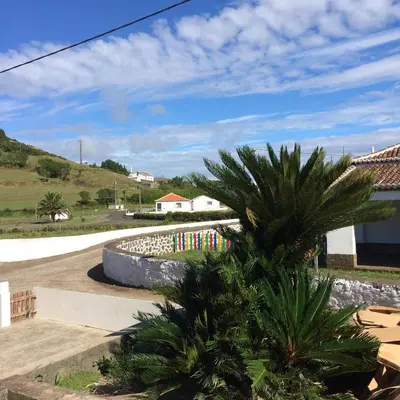 a palm tree in front of a building at Casa Malbusca in Almagrinha