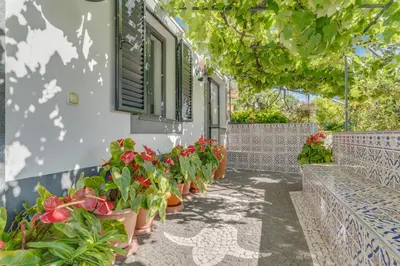 Gallery image of Passion Villa in Machico
