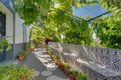 Gallery image of Passion Villa in Machico
