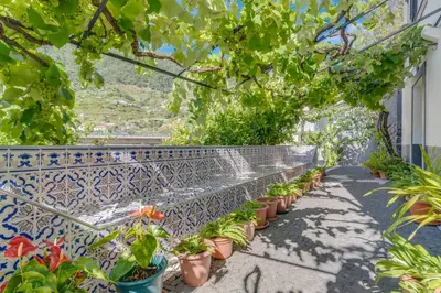 Gallery image of Passion Villa in Machico