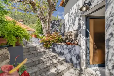 Gallery image of Passion Villa in Machico