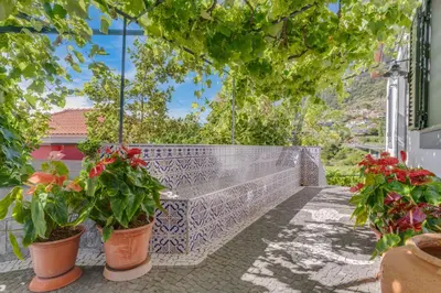 Gallery image of Passion Villa in Machico