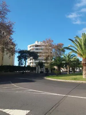 a parking lot with palm trees and a building at Bright Studio in Funchal
