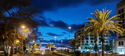 a city street at night with palm trees and a building at Bright Studio in Funchal