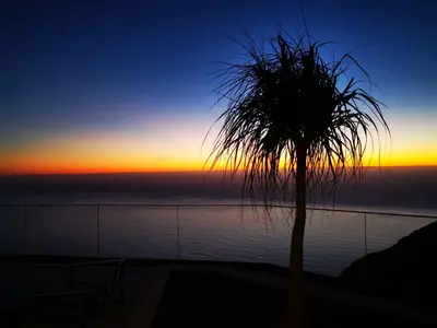 a palm tree in front of a sunset at The Cliffhouse by LovelyStay in Fajã da Ovelha