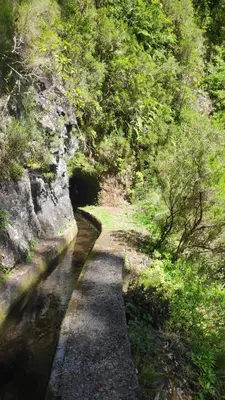 a path next to a river in a forest at Desertas View Apartment in Machico