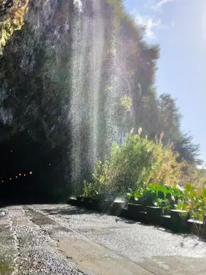 a water fountain in the middle of a garden at Anjos's Choice in Ponta do Sol