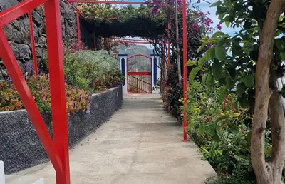 a grassy area with trees and the ocean in the background at Casa Villa Dinastía Sótão Y Casa Villa Dinastía Miramar in Ribeira Brava