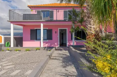 a house with a palm tree in front of it at Villa Rosa with private pool by Holiday Rental Madeira in Ribeira Brava