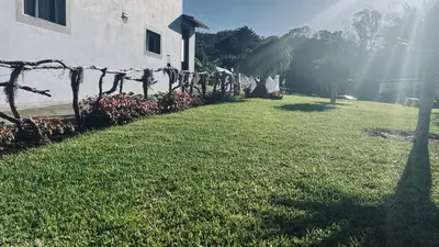 a brick oven sitting in a field of crops at VM Sunset in Porto Moniz
