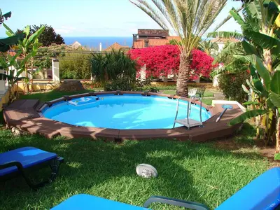 a swimming pool in a yard with palm trees at Private Pool Apt. with Great View in Funchal