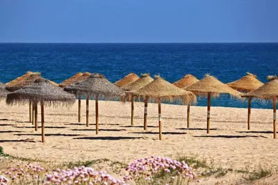 a bunch of straw umbrellas on a beach at Casa do Barco in Luz