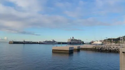 a harbor with a cruise ship in the water at Edificio Charles 101 in Funchal