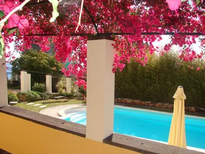 a view of a swimming pool with pink flowers at Romantic Studio in Funchal