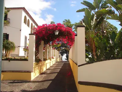 a street with flowers hanging from a building at Romantic Studio in Funchal
