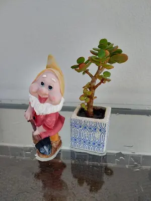 a figurine of a gnome next to a potted plant at Casa d' Avó Zeza in Jardim do Mar