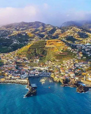 an aerial view of a small island in the water at Cantinho da Té in Câmara de Lobos