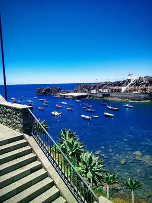 a view of a harbor with boats in the water at Cantinho da Té in Câmara de Lobos