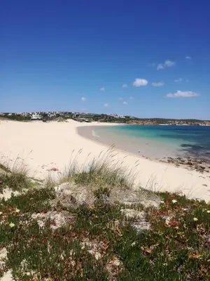 a sandy beach with the ocean in the background at Cool Villas T1 in Sagres