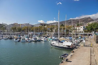 a bunch of boats are docked in a marina at Casa Caetano by An Island Apart in Funchal