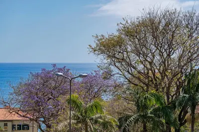 a street light with trees and the ocean in the background at Varandas do Lido I by An Island Apart in Funchal